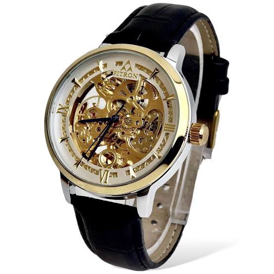 Men Skeleton Automatic Water Resistance Watch