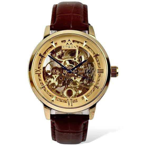 Men Skeleton Automatic Water Resistance Watch